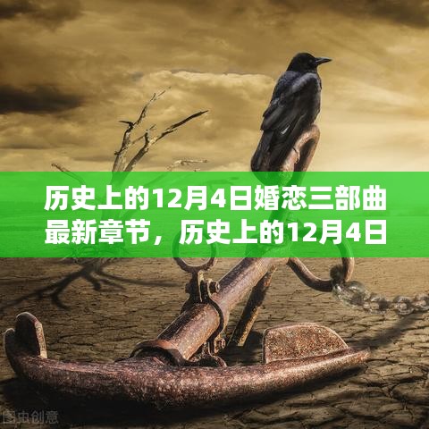 历史上的12月4日婚恋三部曲，最新章节深度评测与介绍