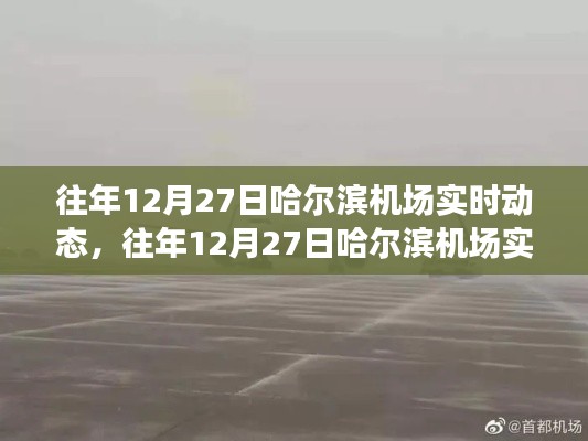 揭秘往年12月27日哈尔滨机场实时动态，飞行背后的故事